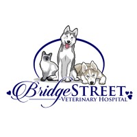 Bridge Street Veterinary Hospital