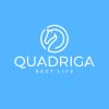 Quadriga Best Life LLC logo - Similar company to Syn