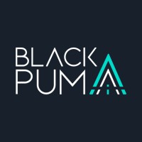 The Black Puma logo - Similar company to The Transformative Tech Lab