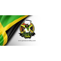 JAMAICA VALLEY DISTRIBUTORS LTD. logo - Similar company to Dapur Mariae