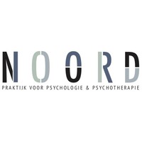 Noord Praktijk logo - Similar company to Brucc - Brussels University Consultation Center