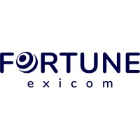 FORTUNE EXICOM logo - Similar company to Digiline System Private Limited