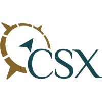 CSX Consulting logo - Similar company to Nci