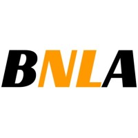 BN Language Academy logo - Similar company to Taal Leeft!