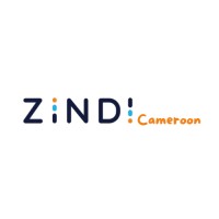 ZINDI-CAMEROON logo - Similar company to Smart Vision