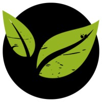Ecography graphic design logo - Similar company to Molakoe - Graphic Design