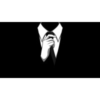 The Job Hunter logo - Similar company to Job First Advisors