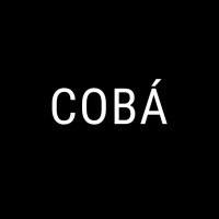 Coba Studio logo - Similar company to Bastien J. Laurent