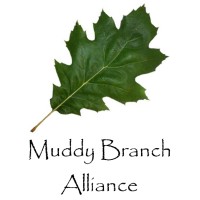 Muddy Branch Alliance logo - Similar company to Gis|Pro