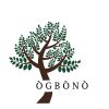 Ogbonoblog logo - Similar company to Techsow Limited