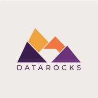 Data Rocks logo - Similar company to Data.Rocks