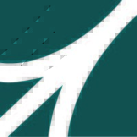 Magpie Technology logo - Similar company to Funscore