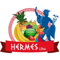 HERMES GROUP LTDA logo - Similar company to Softmaya