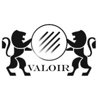 Valoir logo - Similar company to Rozon