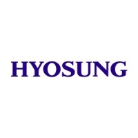 Hyosung Solutions (TNS Mexico) logo - Similar company to Brains Solvers