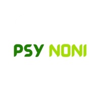 PSY Noni logo - Similar company to Noni’S Computer Store