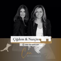 ÇAN EĞİTİM DANIŞMANLIK logo - Similar company to Standard Risk Yönetimi Ve Danışmanlık A.Ş.