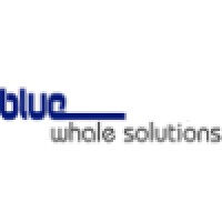 BlueWhale Solutions Inc. logo - Similar company to Bluewhale