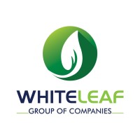 White Leaf Group of Companies (PVT) Ltd logo - Similar company to White Leaf Solutions Ltd