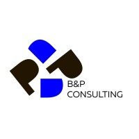 B&P consulting logo - Similar company to Nesemos Fund
