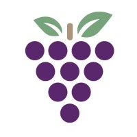 Grape Software SRL logo - Similar company to Maui