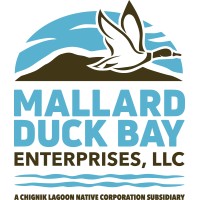 Mallard Duck Bay Enterprises logo - Similar company to Ams Consulting And Design Inc.