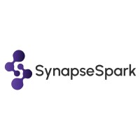 SynapseSpark logo - Similar company to Dfcs Srl
