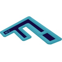 My FIntelligence logo - Similar company to Dronesky