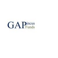 GA Pincus Funds logo - Similar company to Ecomlt Llc