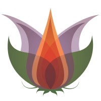 Flower logo - Similar company to Iris Optiek