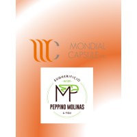 Mondial Closures USA logo - Similar company to Take Wing Professional Development Inc.