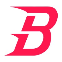 Bolis Media logo - Similar company to Spike Up