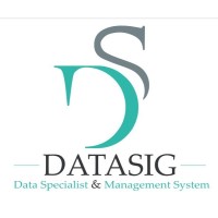 Datasig logo - Similar company to Datasig