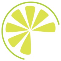 Lime Creative, LLC with Reagan Burns logo - Similar company to Wolf Design & Creative