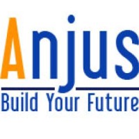 ANJUS LLC logo - Similar company to Intellect Quest Llc