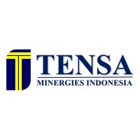 PT TENSA MINERGIES INDONESIA logo - Similar company to Monstermac.Id