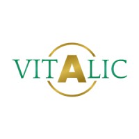 Vitalic logo - Similar company to Vitalic Inmobiliaria