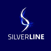 SilverLine__ logo - Similar company to Eon8 - The Digital Infinity
