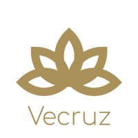 Vecruz logo