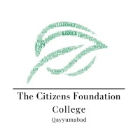 The Citizens Foundation College - Careers logo - Similar company to Digitalized Solutions