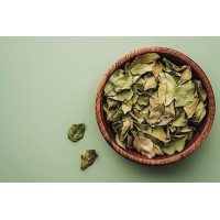 PSSJ. Mathaan & Co logo - Similar company to Slow Cooked Films