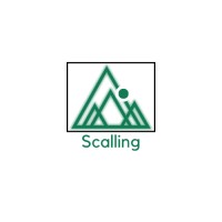 SCALLING logo - Similar company to Romero Firm
