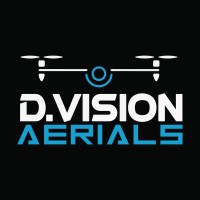 D.Vision Aerials logo - Similar company to Scratch Takes