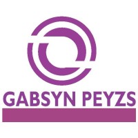 THE GABSYN PEYZs logo - Similar company to Gabsyn Microfinance Bank
