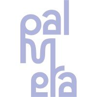 Palmera Agency logo - Similar company to Activmedia | Formations Webdesigner