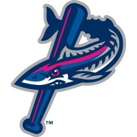 Pensacola Blue Wahoos logo - Similar company to Studer Group