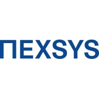 NexSys IT logo - Similar company to Torque It
