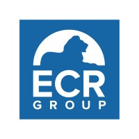 ECR Group in the European Parliament logo - Similar company to Mera25 Deutschland