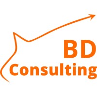 BD Consulting logo - Similar company to Niedax Monosystems
