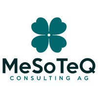 MesoTeQ Consulting AG logo - Similar company to Machcon Gmbh